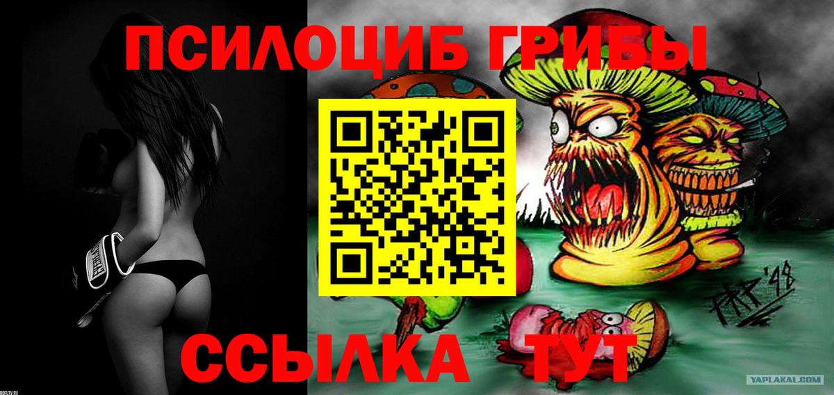 Псилоцибиновые грибы GOLDEN TEACHER Евпатория